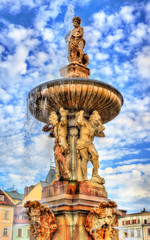 Fototapeta premium Samson Fountain in Ceske Budejovice Czech Republic