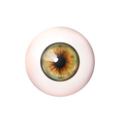 Realistic eyeball. Human eye. Vector illustration icon isolated on white.