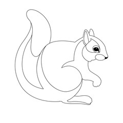 squirrel vector illustration  line drawing