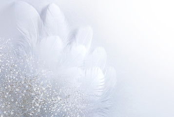 Airy soft Abstract gentle natural background with bird feathers macro with soft focus on light...