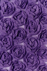 Purple rose background