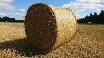 Landscape with roll of dried hay