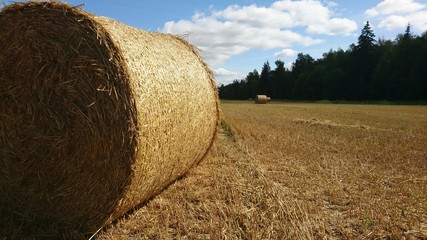 Agriculture in Lithuania in the end of summer and in time of fall