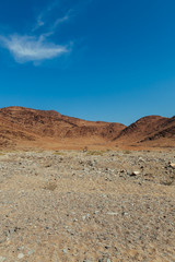 Namibian desert 