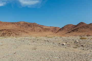 Fototapeta na wymiar Namibian desert 
