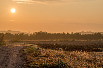 Spätsommermorgen in den Feldern Rheinhessens