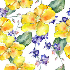 Wildflower orchid flower pattern in a watercolor style. Full name of the plant: orchid cattleya. Aquarelle wild flower for background, texture, wrapper pattern, frame or border.