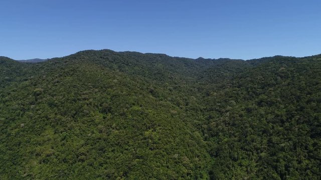 Flying Over Mountains and Forest