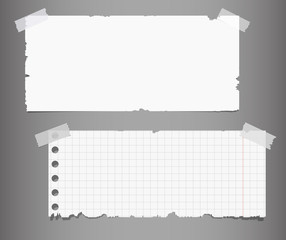 Set of ripped notepaper sheets blank and chequered with sticky tape on grey background - 170333350