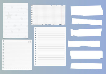 Set of notebook paper sheets - chequered, ruled, with stars and bicycle design and ripped pieces of blank white paper on blue background - 170333365
