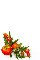 Fresh juicy tomatoes, cherry and leaves pattern and ornament on a white background with copy space flat view from above and place for text isolates