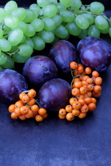 Plums, grapes and ashberry on a dark background in retro style for designer