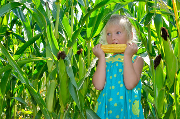 A small, cheerful girl in the green field eating corn