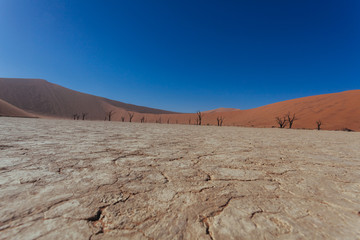 Sossusveli. Dead Vlei. Deadvlei. Namib Desert