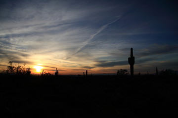 Naklejka premium desert sunset