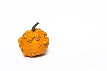 Halloween decoration background. Isolated