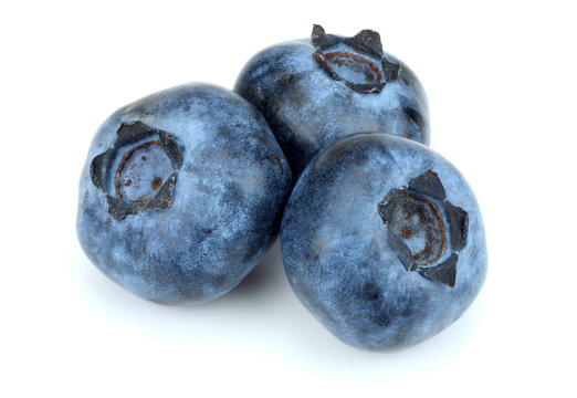blueberries isolated on white background. macro