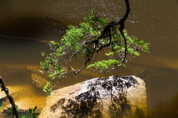 Paparoa National Park