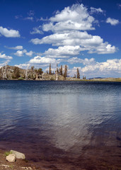 Fototapeta na wymiar View of Frog Lake at mid-day