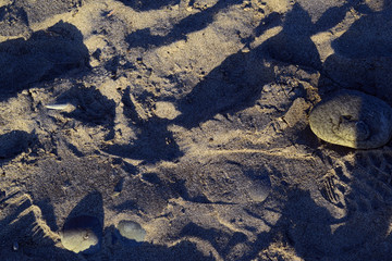 Beach sand footprint
