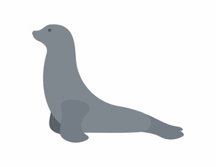 Seal animal