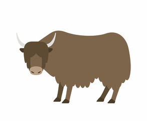 Buffalo