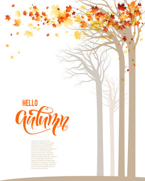 Autumn trees banner