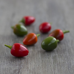 Red and green chili peppers  on gray background.