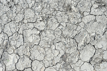 Cracks in the dried soil in arid season as a texture