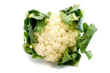 Blumenkohl isoliert freigestellt auf weißen Hintergrund, Freisteller