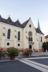Fototapeta na wymiar The Cathedral of Kaposvar