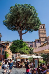 Fototapeta premium Rom, Trastevere
