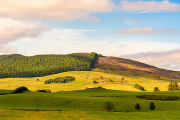 Fototapeta premium Scottish countryside in summer