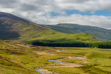 Scottish countryside in summer