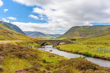 Scottish countryside in summer