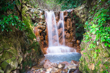 A photography of a rainforest waterfall in Taiwan