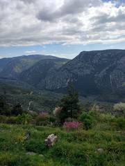 Naklejka premium Delphi, Greece, 2017