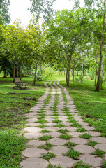 Path of stepping stones leading into lush green garden