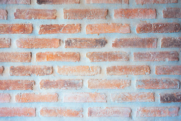 Red brick wall in soft pastel color