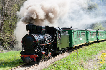 Fototapeta na wymiar Bieszczady Forest Railway
