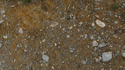 mud with rocks