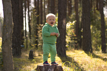 Cute little boy crying or singing in the forest or park