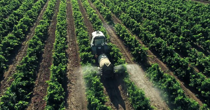 Spraying the rows of vines
