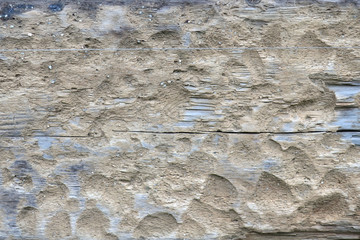 Wood texture