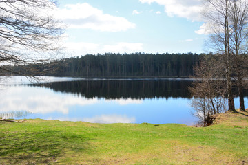 Fototapeta na wymiar Calm forest lake with reflections. Russia, Saint-Petersburg region
