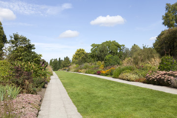 Colourful garden with a wide walking path between flowers in bloom, trees and shrubs, on a sunny summer day .