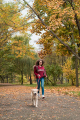 Fototapeta premium Portrait of a young woman with dog on golden autumn walk.