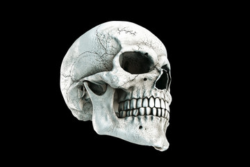 Obraz premium Human skull on Rich Colors a Black Isolated Background. The concept of death, horror. A symbol of spooky Halloween. 3d rendering illustration.