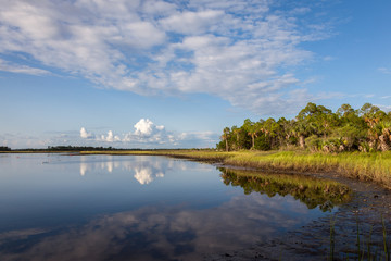 Late Afternoon view of the Marsh on Florida's Gulf Coast