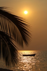 Sunset over Lake Malawi with a palm tree and a small fishing boat
